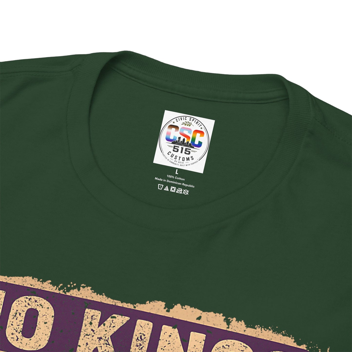 No Kings In America Cat Tee – Retro Rainbow Political Humor T-Shirt