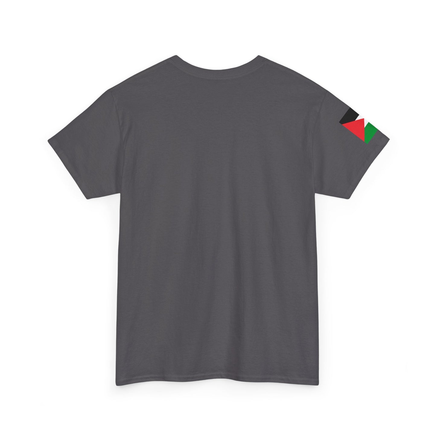 Humanity Before Politics T-Shirt — Unity Hands Graphic Tee