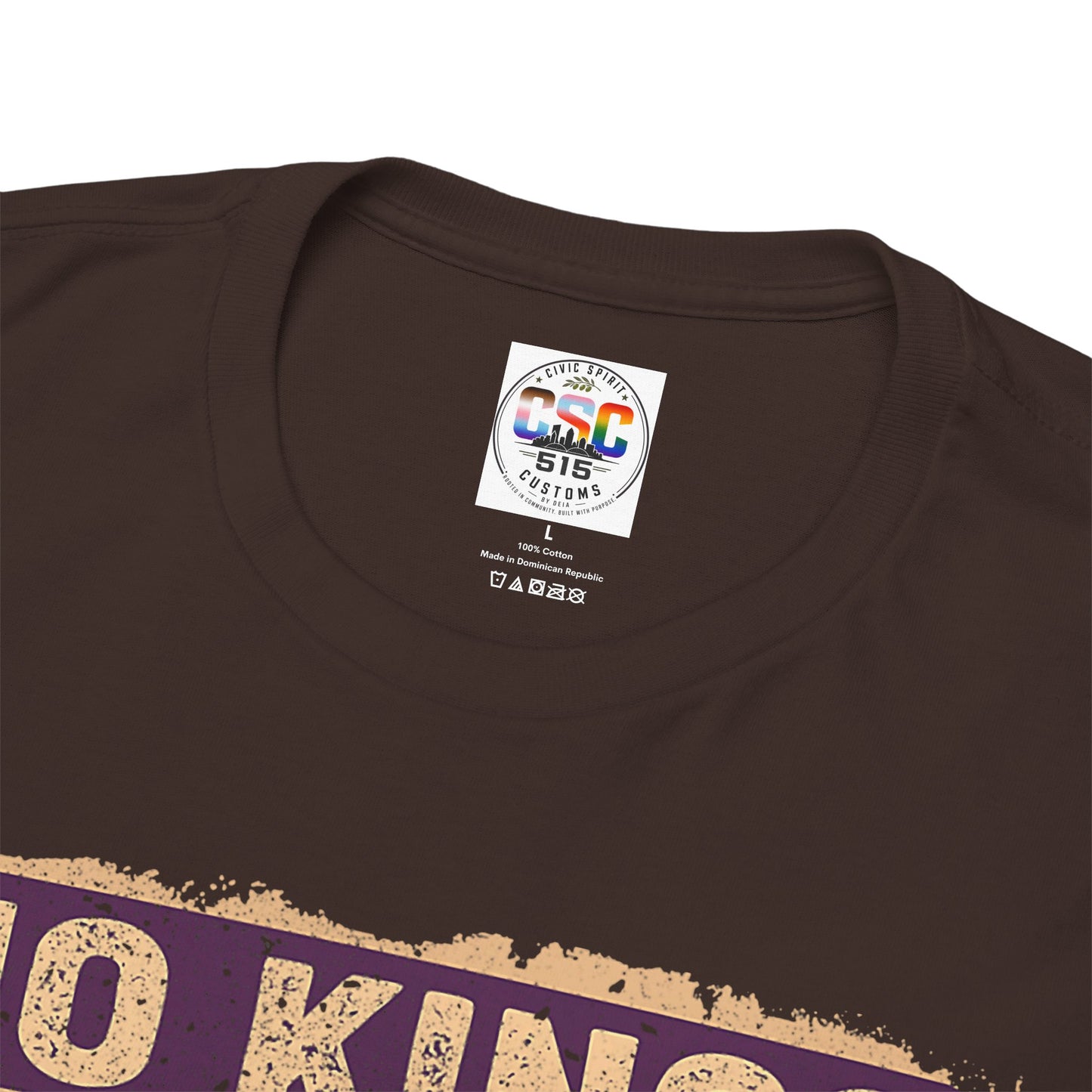 No Kings In America Cat Tee – Retro Rainbow Political Humor T-Shirt
