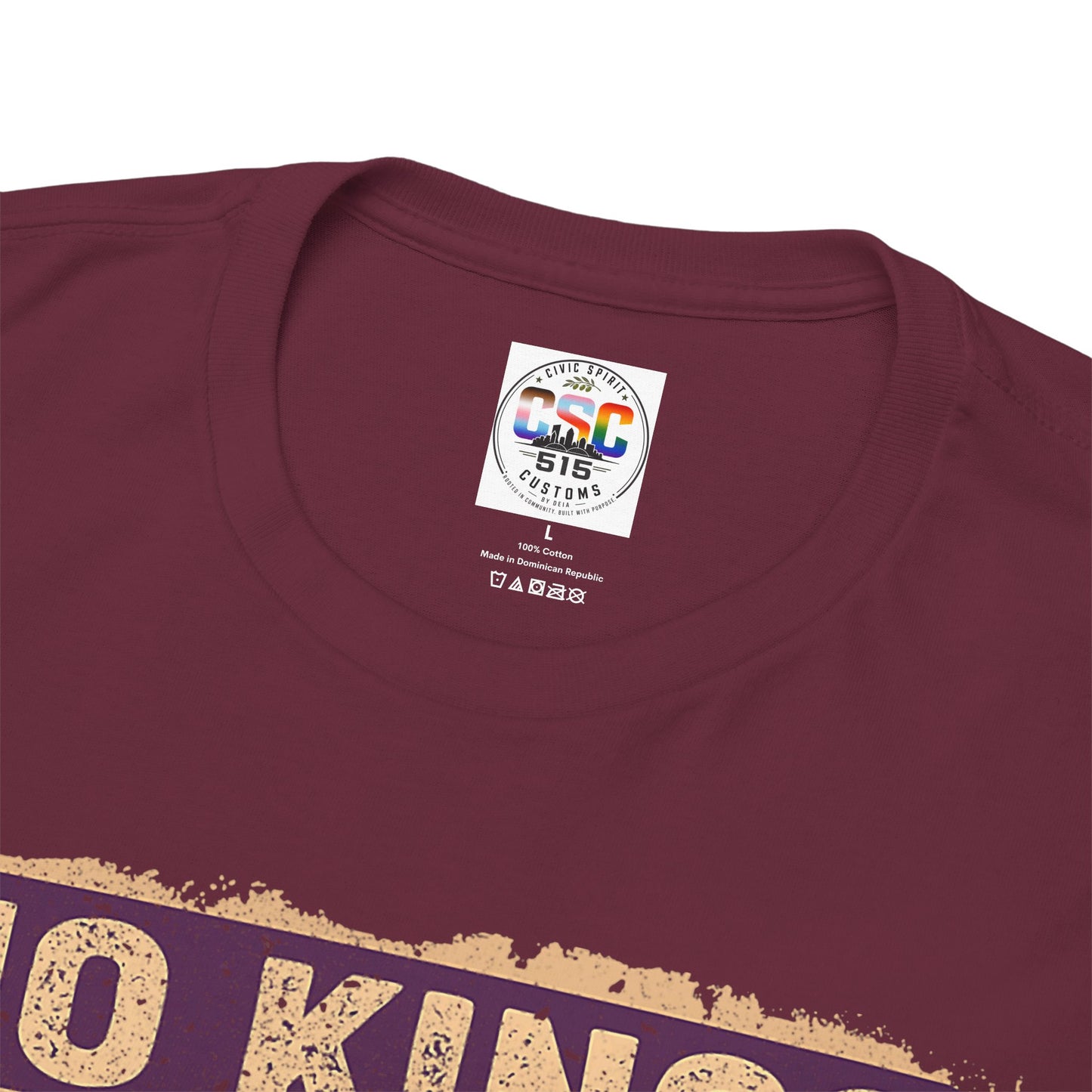 No Kings In America Cat Tee – Retro Rainbow Political Humor T-Shirt