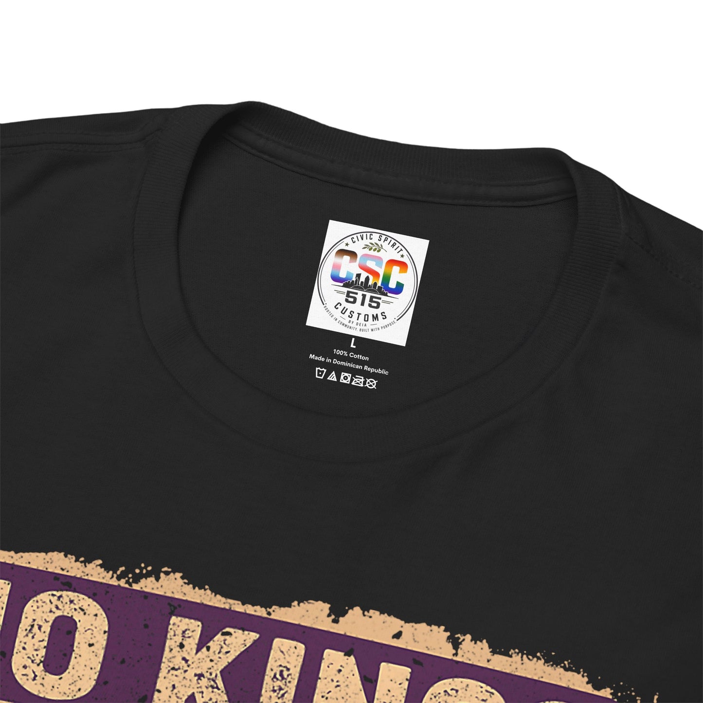 No Kings In America Cat Tee – Retro Rainbow Political Humor T-Shirt