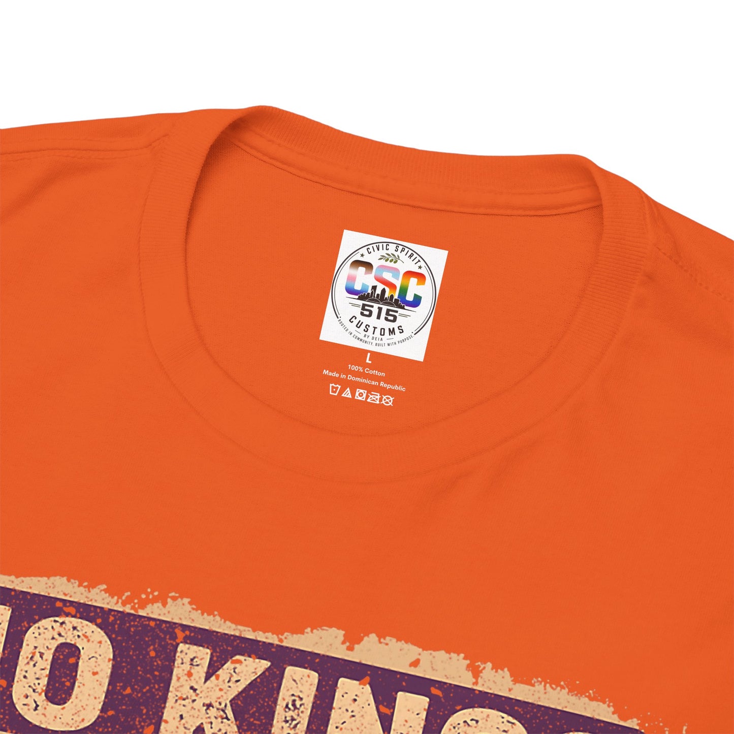 No Kings In America Cat Tee – Retro Rainbow Political Humor T-Shirt