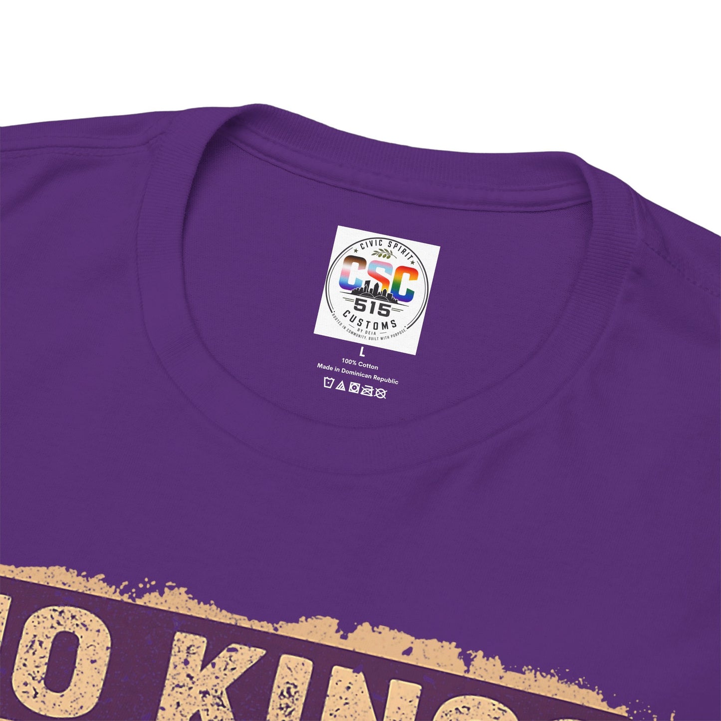 No Kings In America Cat Tee – Retro Rainbow Political Humor T-Shirt