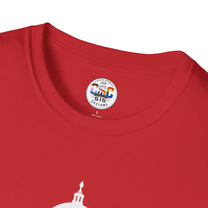 This Is Why We Can't Have Nice Things Capitol Graphic T-Shirt