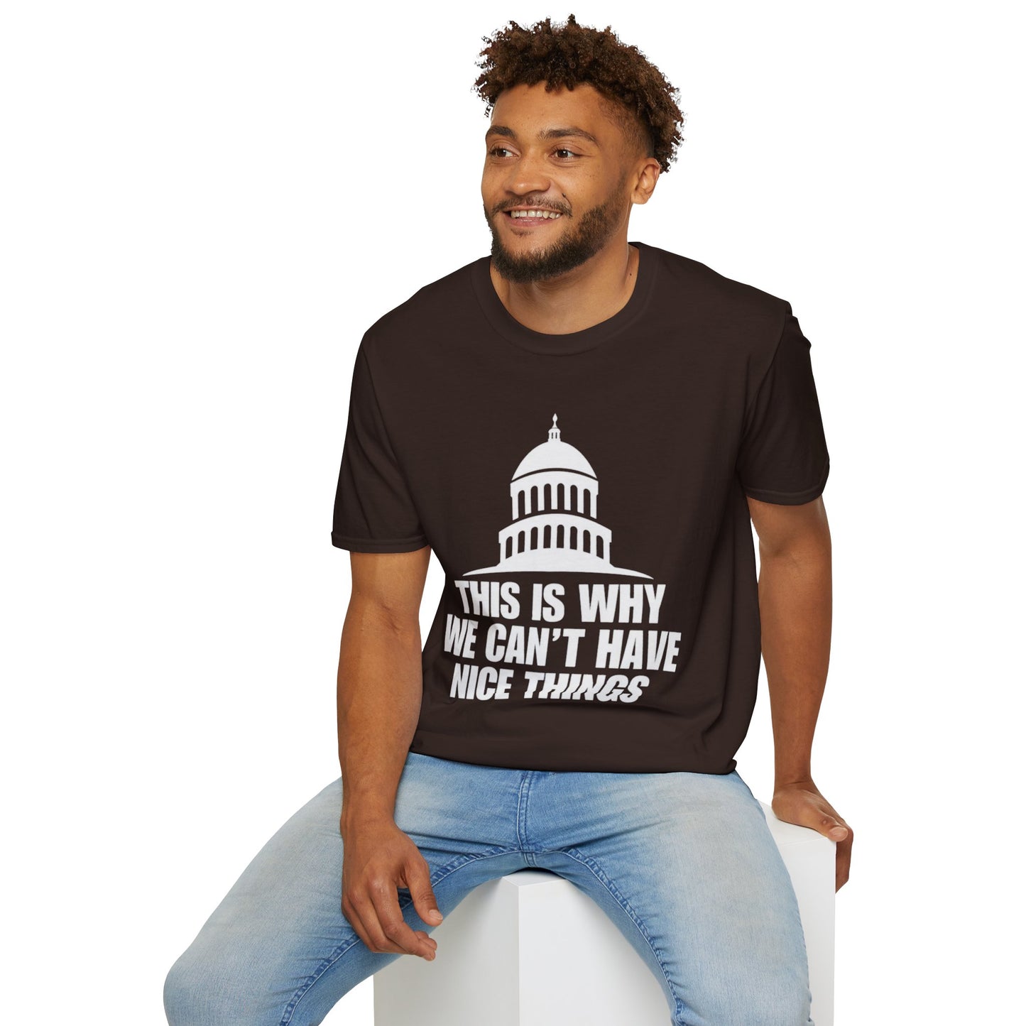This Is Why We Can't Have Nice Things Capitol Graphic T-Shirt
