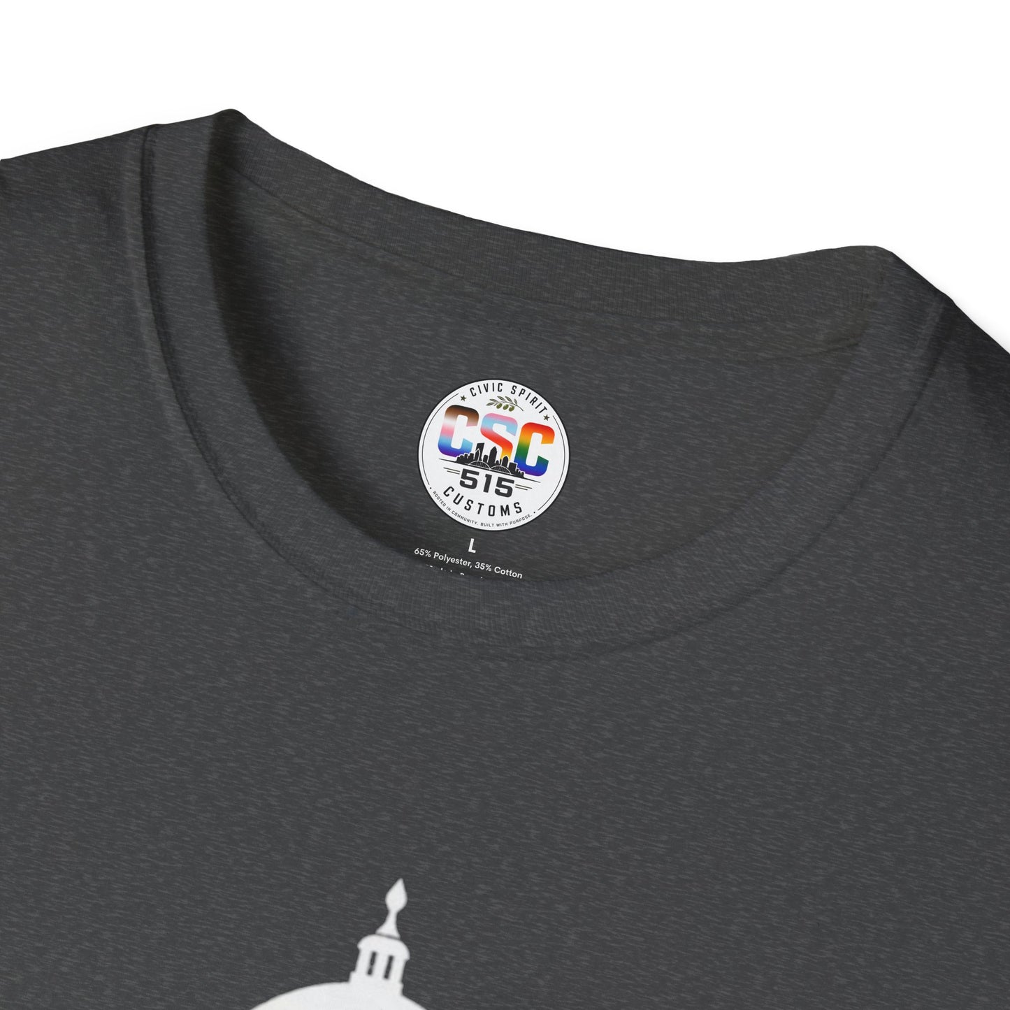 This Is Why We Can't Have Nice Things Capitol Graphic T-Shirt