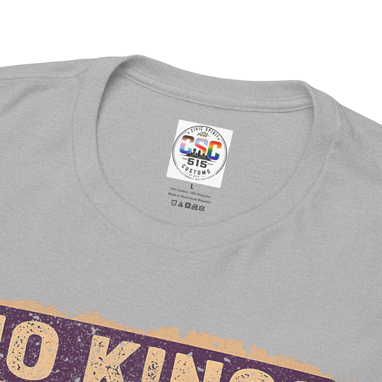 No Kings In America Cat Tee – Retro Rainbow Political Humor T-Shirt
