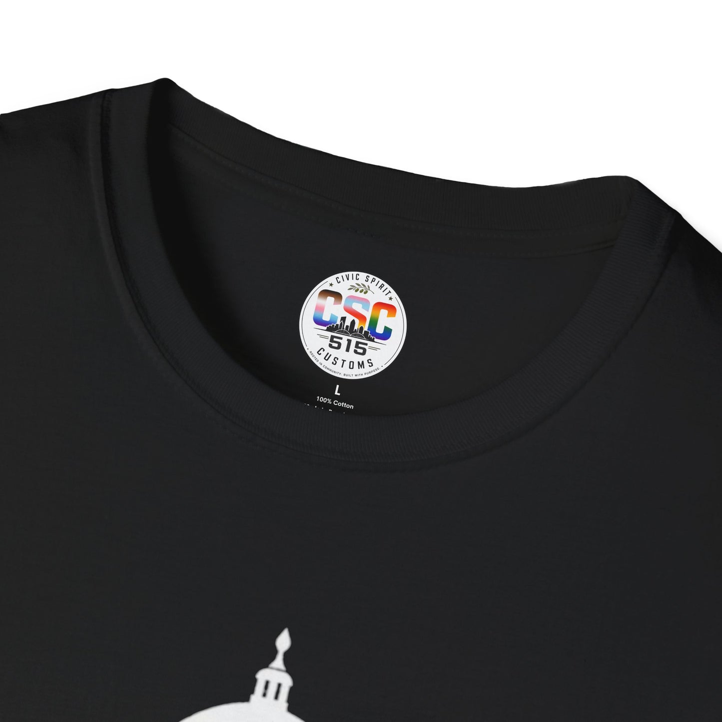 This Is Why We Can't Have Nice Things Capitol Graphic T-Shirt