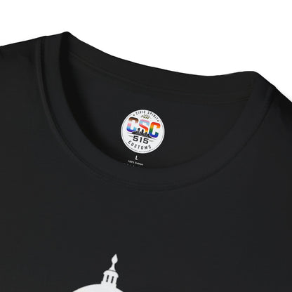 This Is Why We Can't Have Nice Things Capitol Graphic T-Shirt