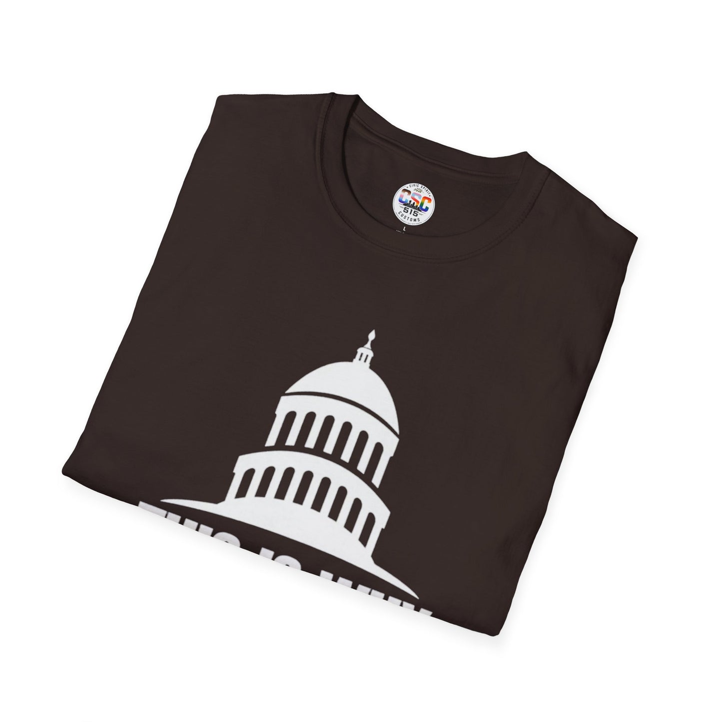 This Is Why We Can't Have Nice Things Capitol Graphic T-Shirt