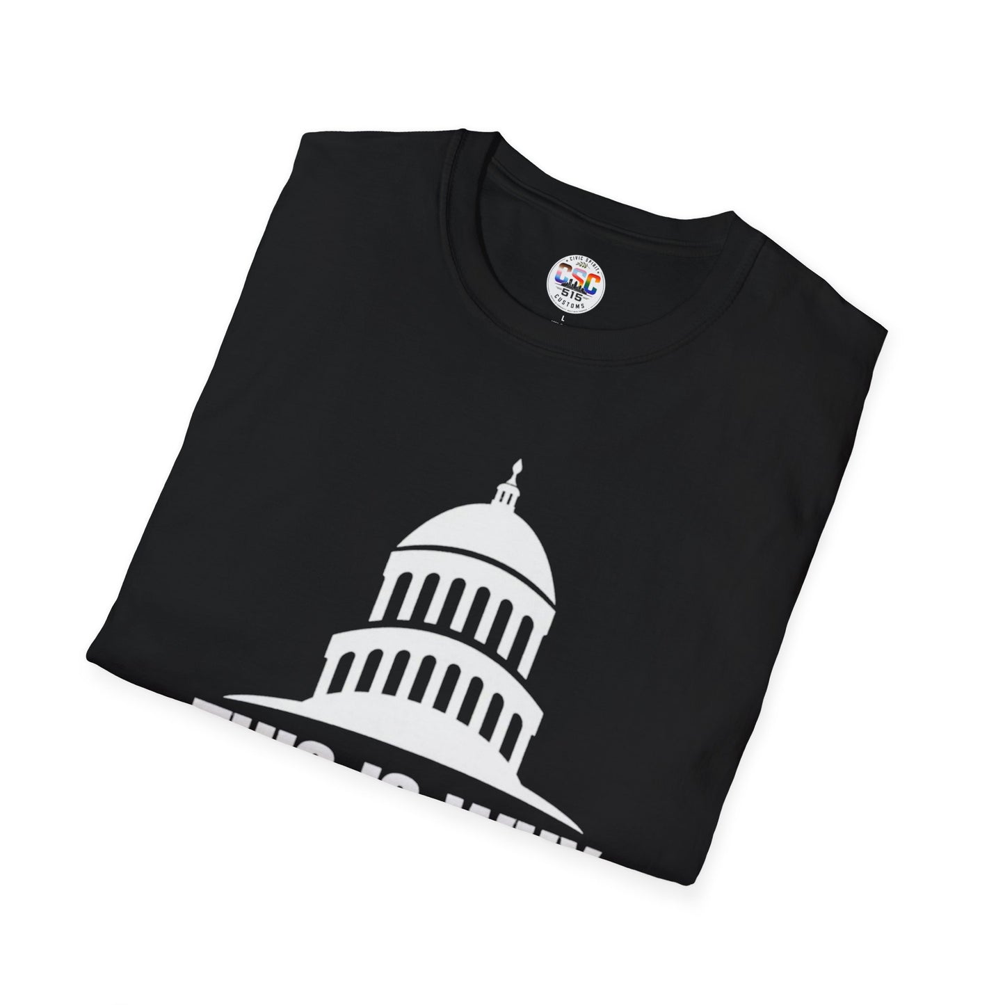 This Is Why We Can't Have Nice Things Capitol Graphic T-Shirt