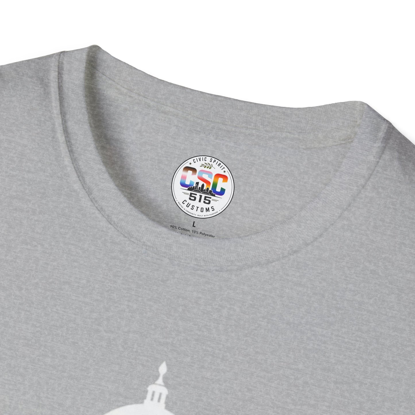 This Is Why We Can't Have Nice Things Capitol Graphic T-Shirt