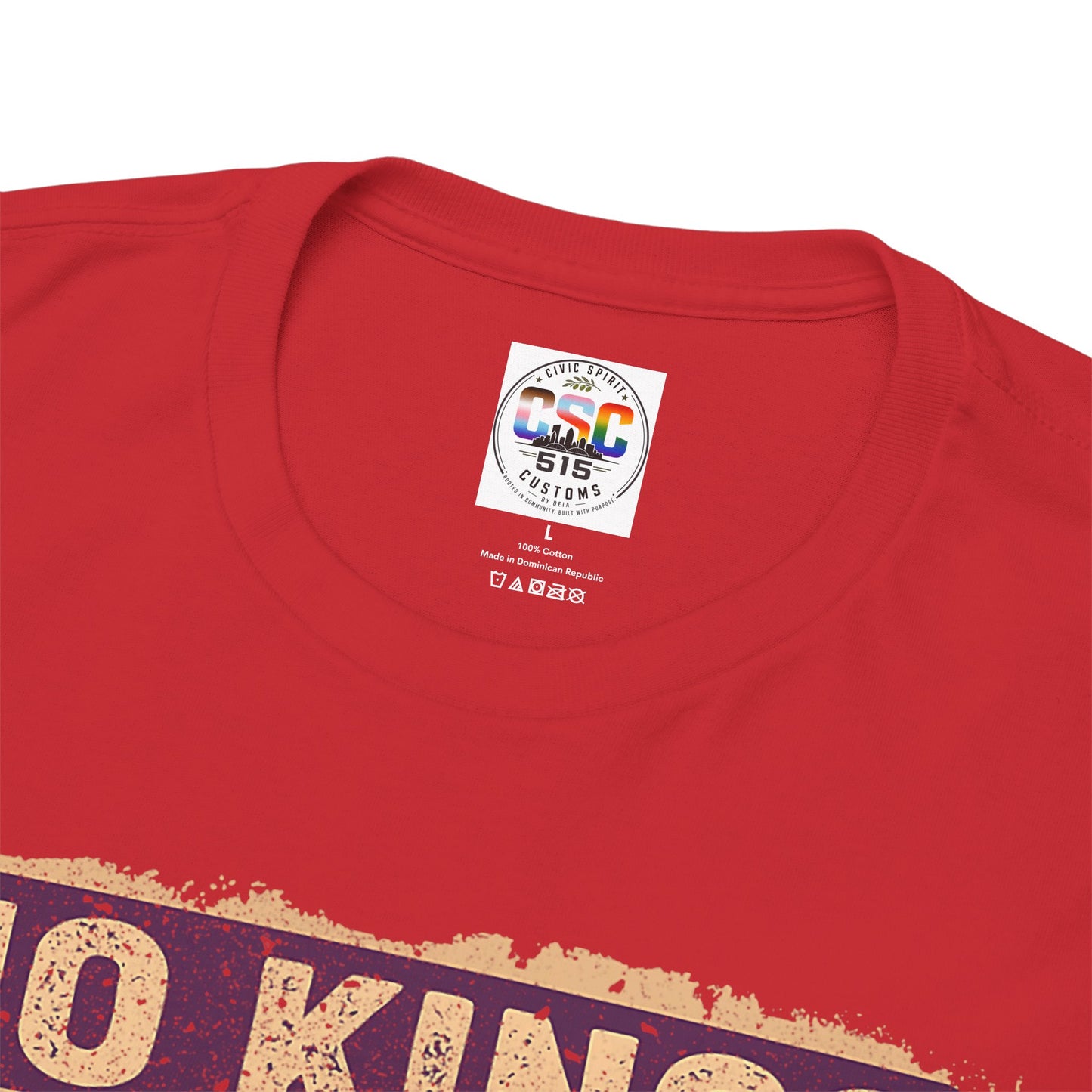 No Kings In America Cat Tee – Retro Rainbow Political Humor T-Shirt