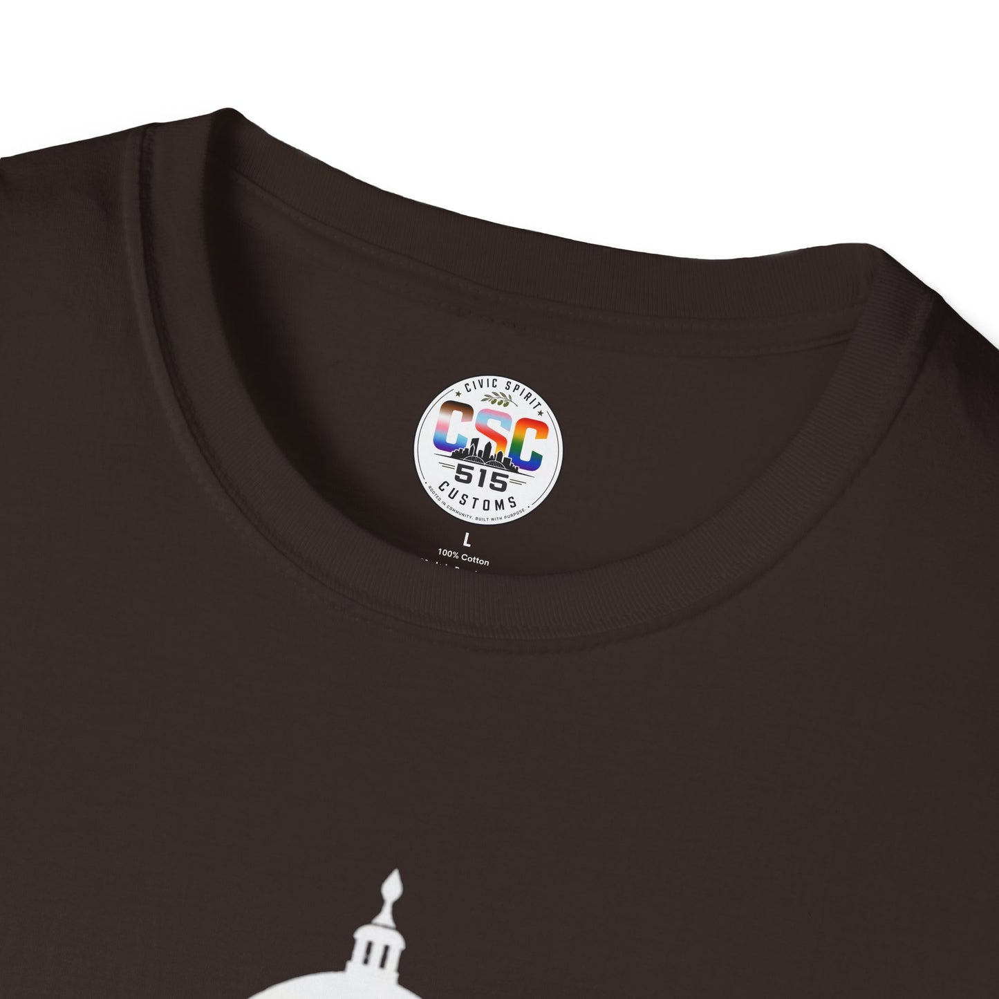This Is Why We Can't Have Nice Things Capitol Graphic T-Shirt
