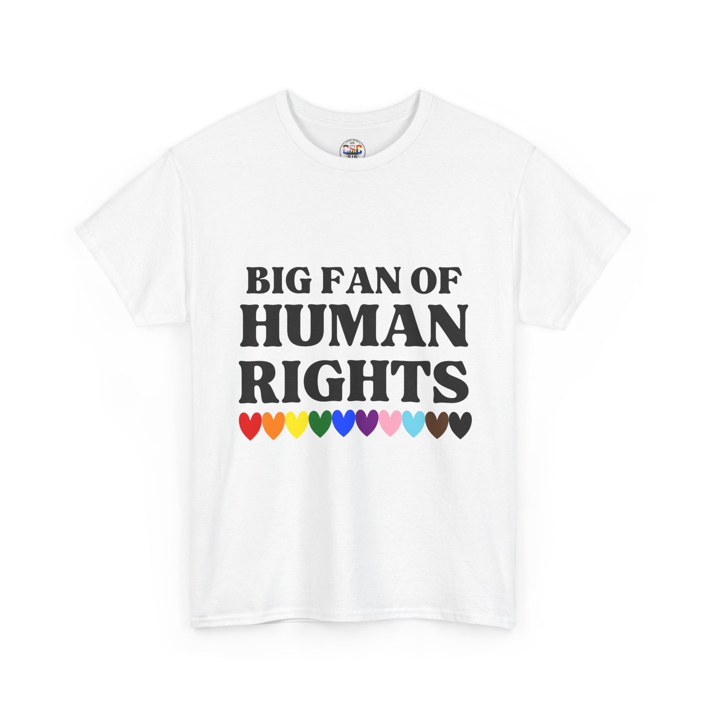 Human Rights T-Shirt — "Big Fan of Human Rights" Pride Hearts Tee