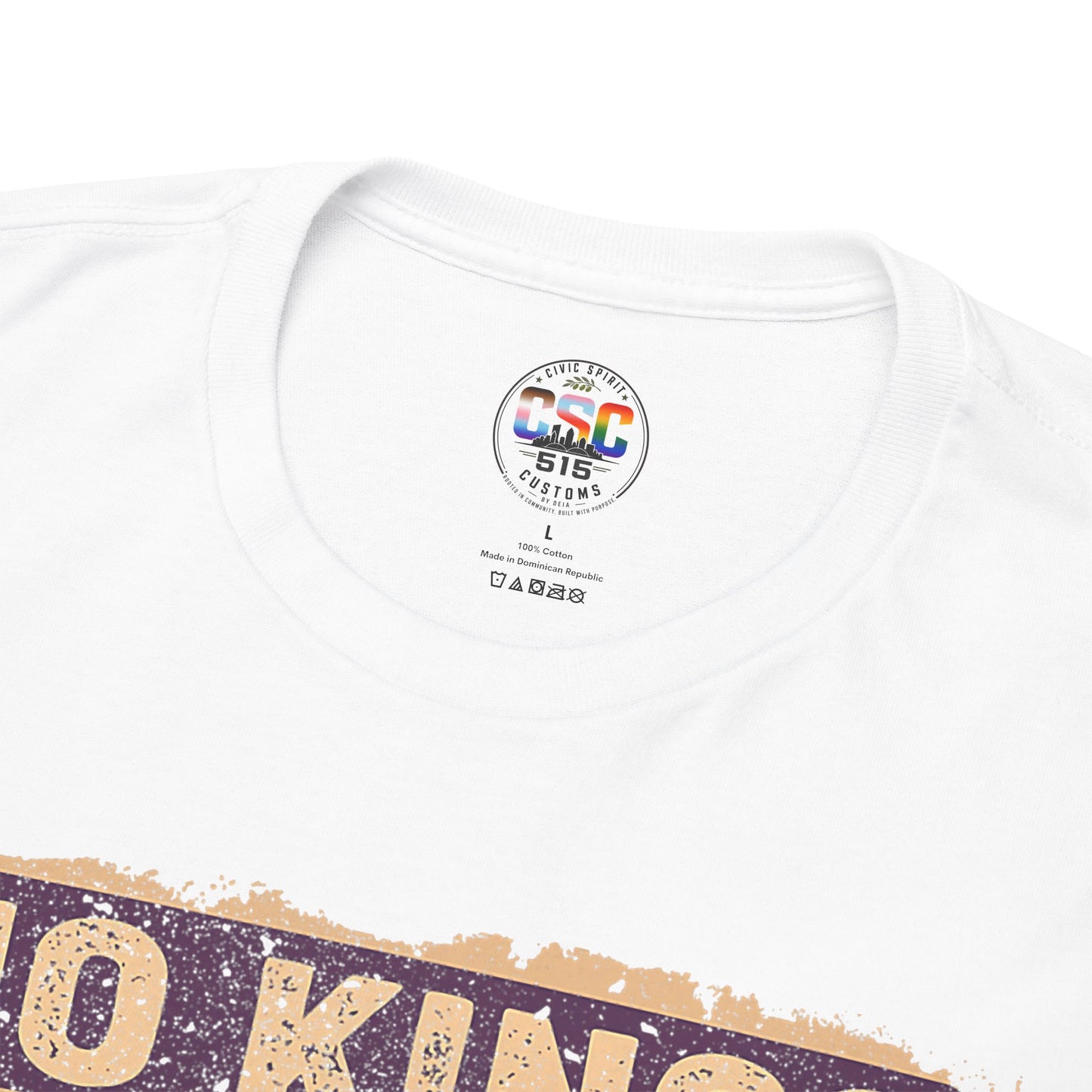 No Kings In America Cat Tee – Retro Rainbow Political Humor T-Shirt