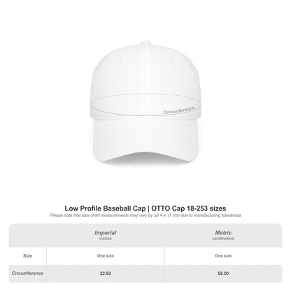 Chinga La Migra Embroidered Baseball Cap