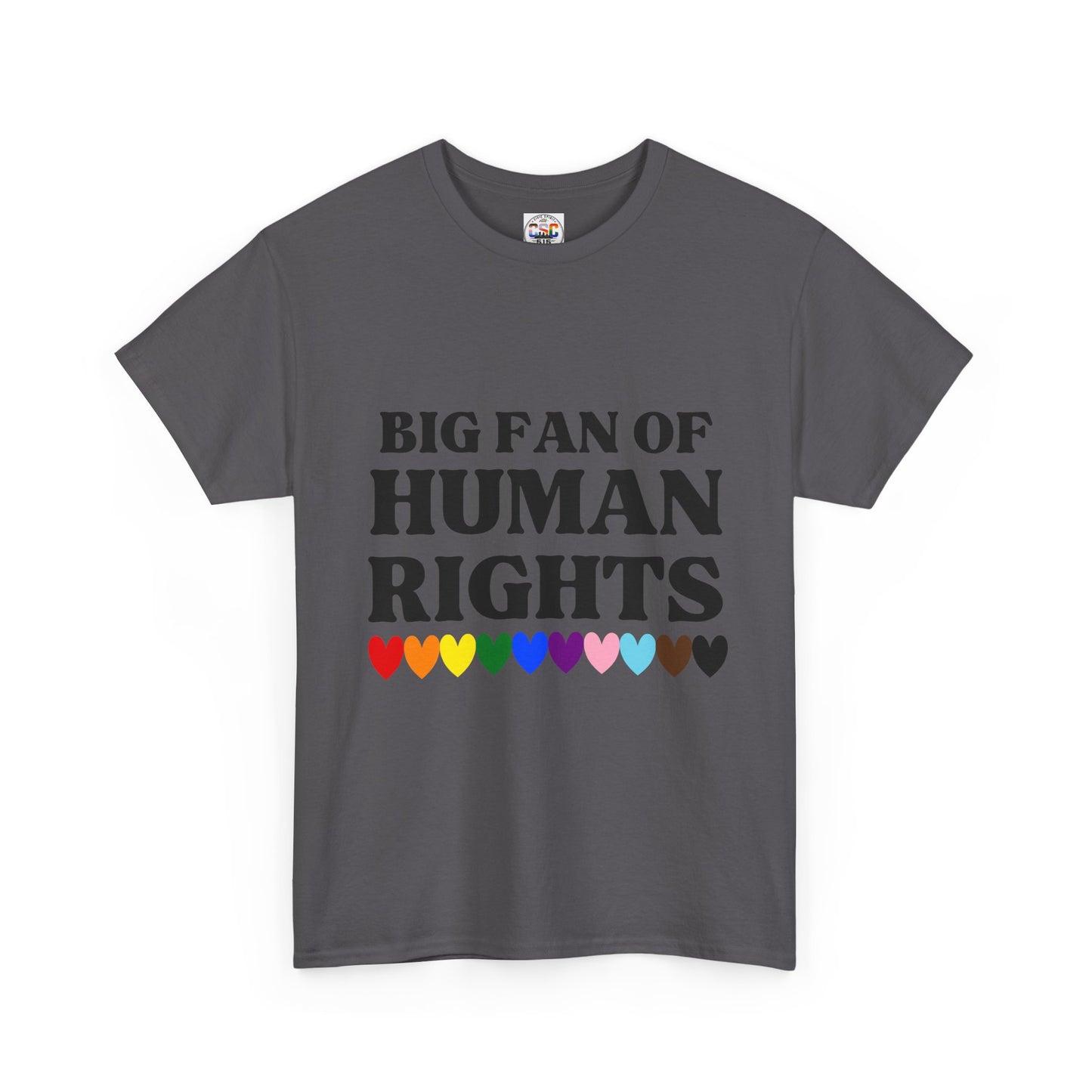 Human Rights T-Shirt — "Big Fan of Human Rights" Pride Hearts Tee